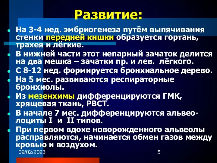 09/02/2023 Развитие: На 3-4 нед. эмбриогенеза путём выпячивания стенки передней кишки