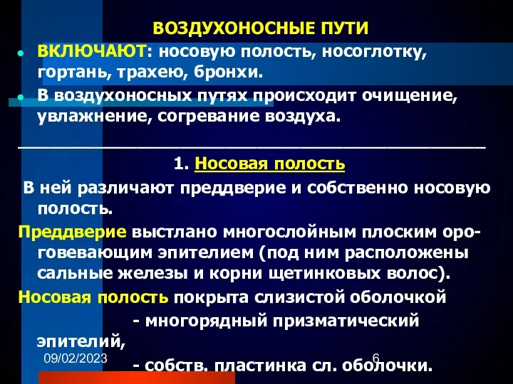 09/02/2023 ВОЗДУХОНОСНЫЕ ПУТИ ВКЛЮЧАЮТ: носовую полость, носоглотку, гортань, трахею, бронхи. В