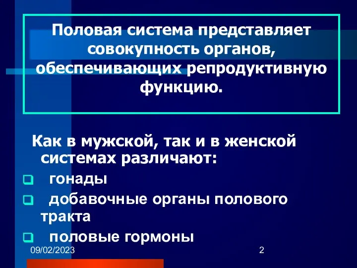 09/02/2023 Половая система представляет совокупность органов, обеспечивающих репродуктивную функцию. Как в