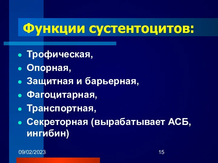 09/02/2023 Функции сустентоцитов: Трофическая, Опорная, Защитная и барьерная, Фагоцитарная, Транспортная, Секреторная (вырабатывает АСБ, ингибин)