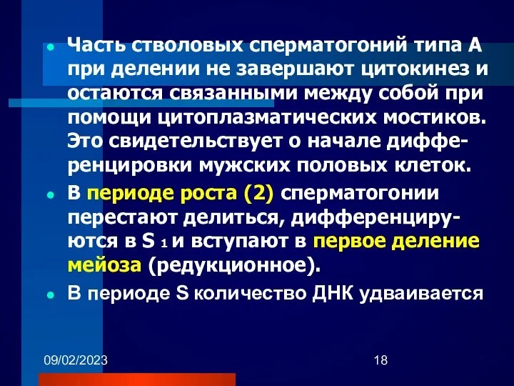 09/02/2023 Часть стволовых сперматогоний типа А при делении не завершают цитокинез