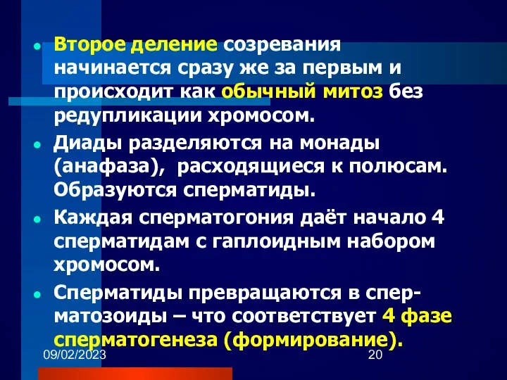 09/02/2023 Второе деление созревания начинается сразу же за первым и происходит