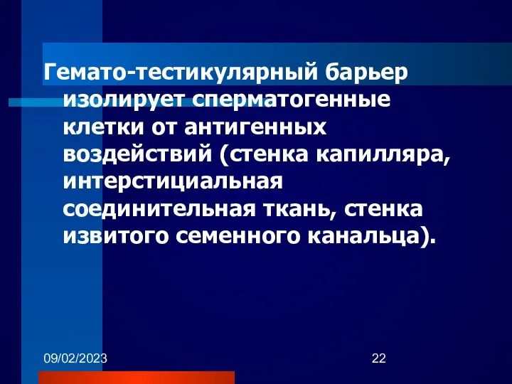 09/02/2023 Гемато-тестикулярный барьер изолирует сперматогенные клетки от антигенных воздействий (стенка капилляра,