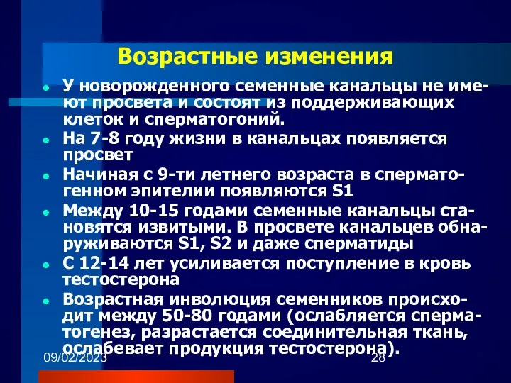 09/02/2023 Возрастные изменения У новорожденного семенные канальцы не име-ют просвета и