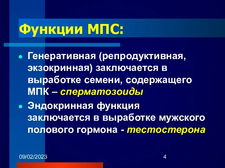 09/02/2023 Функции МПС: Генеративная (репродуктивная, экзокринная) заключается в выработке семени, содержащего