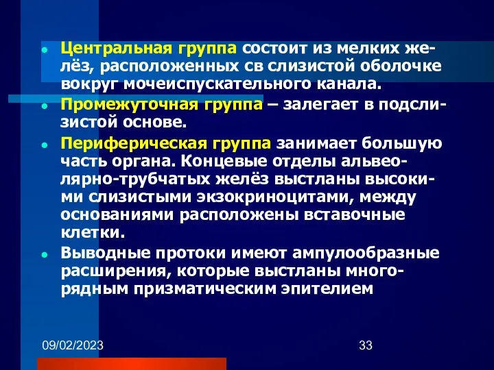 09/02/2023 Центральная группа состоит из мелких же-лёз, расположенных св слизистой оболочке