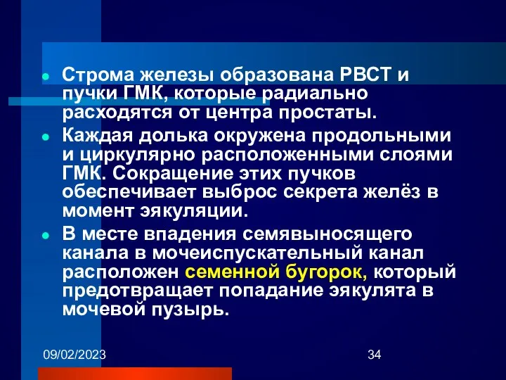 09/02/2023 Строма железы образована РВСТ и пучки ГМК, которые радиально расходятся