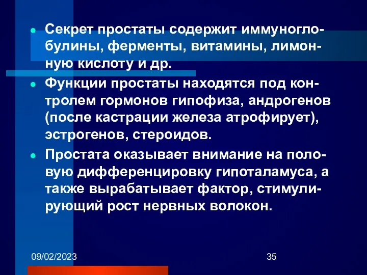 09/02/2023 Секрет простаты содержит иммуногло-булины, ферменты, витамины, лимон-ную кислоту и др.