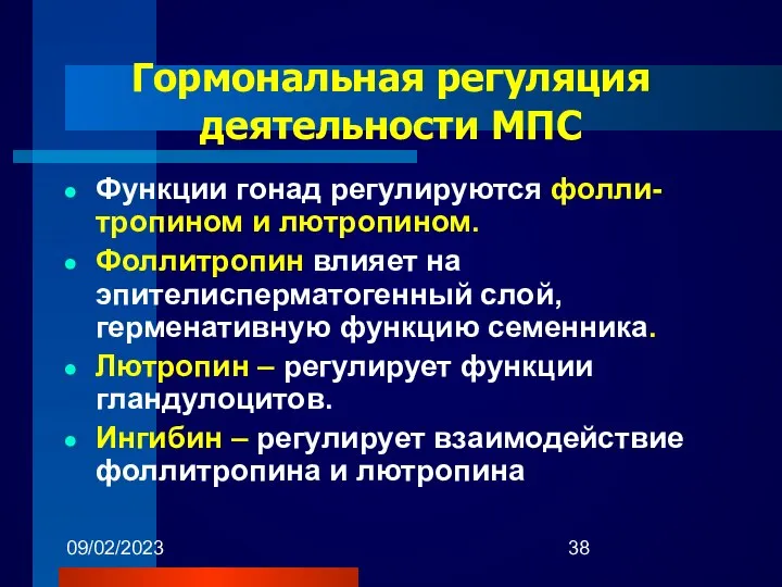 09/02/2023 Гормональная регуляция деятельности МПС Функции гонад регулируются фолли-тропином и лютропином.