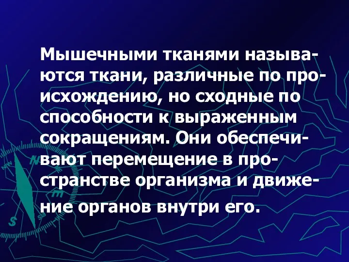 Мышечными тканями называ-ются ткани, различные по про-исхождению, но сходные по способности