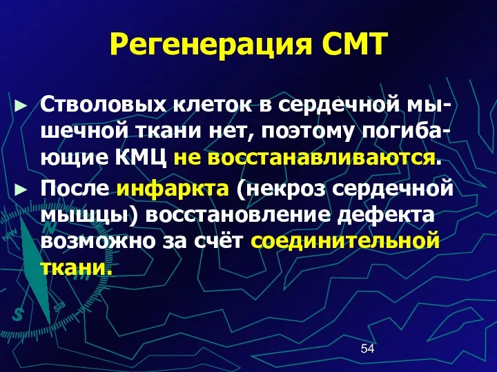 Регенерация СМТ Стволовых клеток в сердечной мы-шечной ткани нет, поэтому погиба-ющие