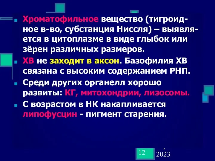 02 September 2023 Хроматофильное вещество (тигроид-ное в-во, субстанция Ниссля) – выявля-ется