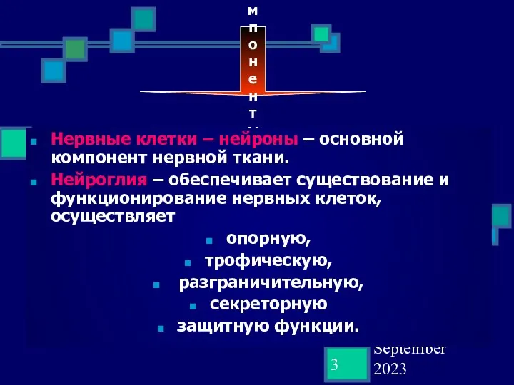 02 September 2023 Структурные компоненты нервной ткани Нервные клетки – нейроны