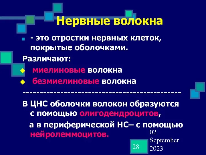 02 September 2023 Нервные волокна - это отростки нервных клеток, покрытые