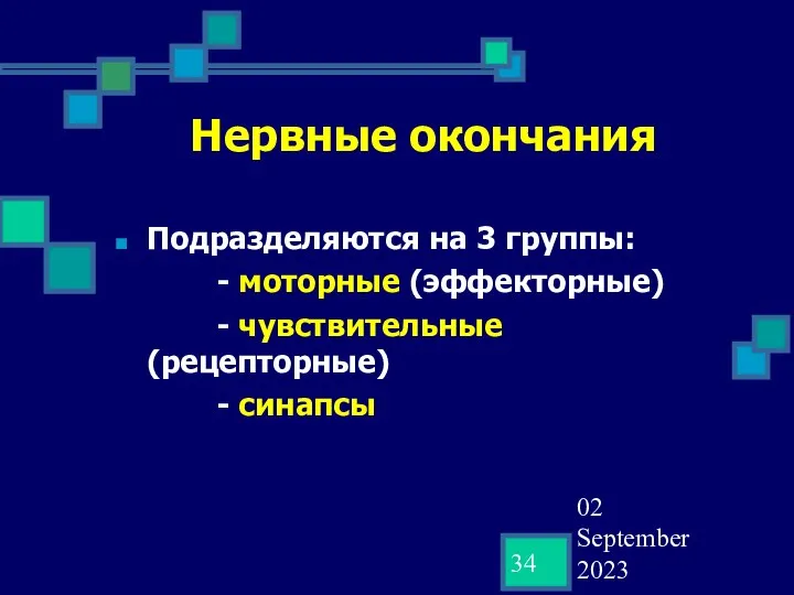 02 September 2023 Нервные окончания Подразделяются на 3 группы: - моторные