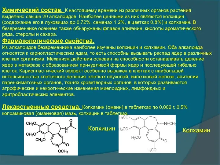 Химический состав. К настоящему времени из различных органов растения выделено свыше