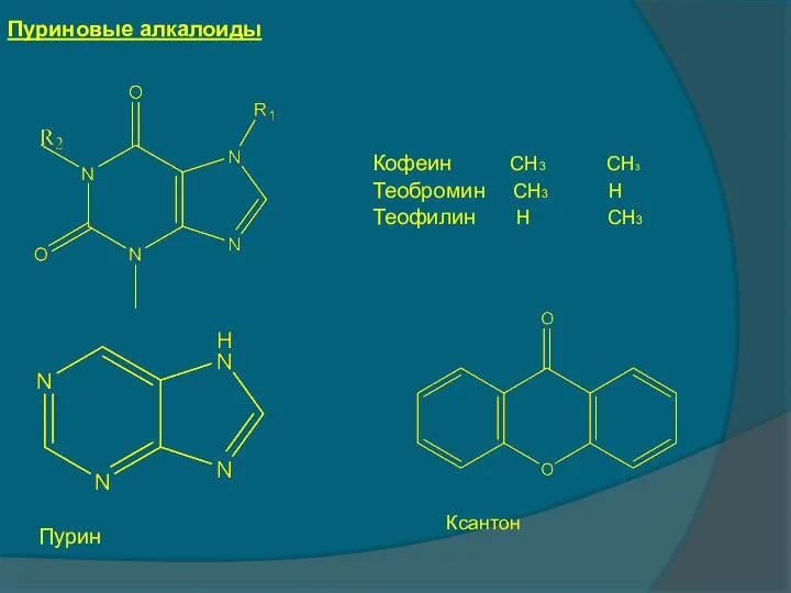 Пуриновые алкалоиды Кофеин СН3 СН3 Теобромин СН3 Н Теофилин Н СН3 Пурин Ксантон