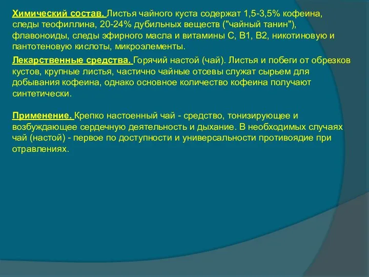 Химический состав. Листья чайного куста содержат 1,5-3,5% кофеина, следы теофиллина, 20-24%