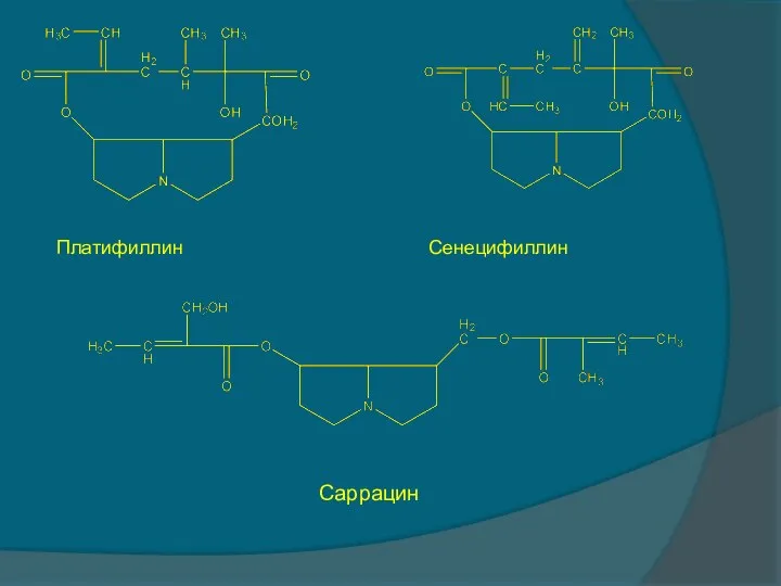 Платифиллин Сенецифиллин Саррацин