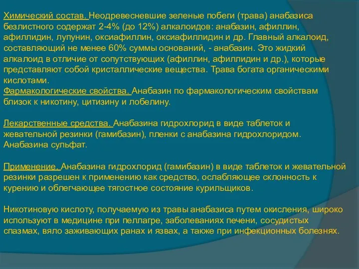 Химический состав. Неодревесневшие зеленые побеги (трава) анабазиса безлистного содержат 2-4% (до