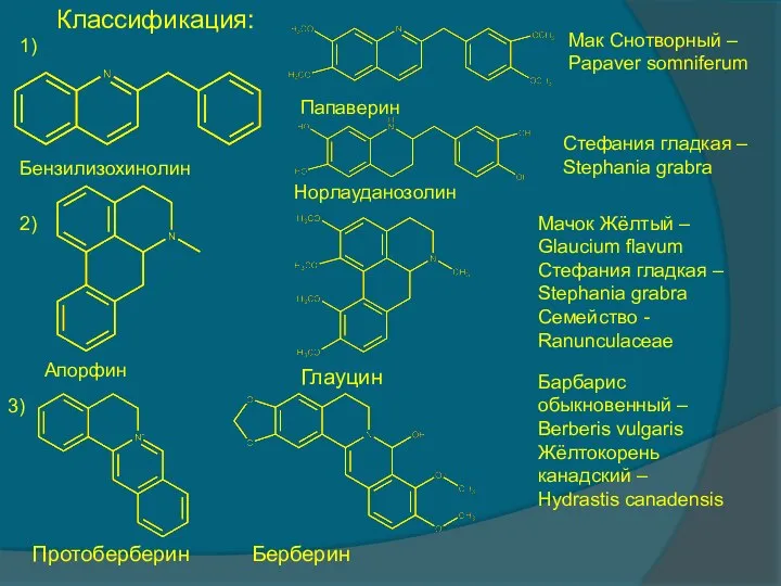 Классификация: Бензилизохинолин Папаверин Норлауданозолин Мак Снотворный – Papaver somniferum Стефания гладкая