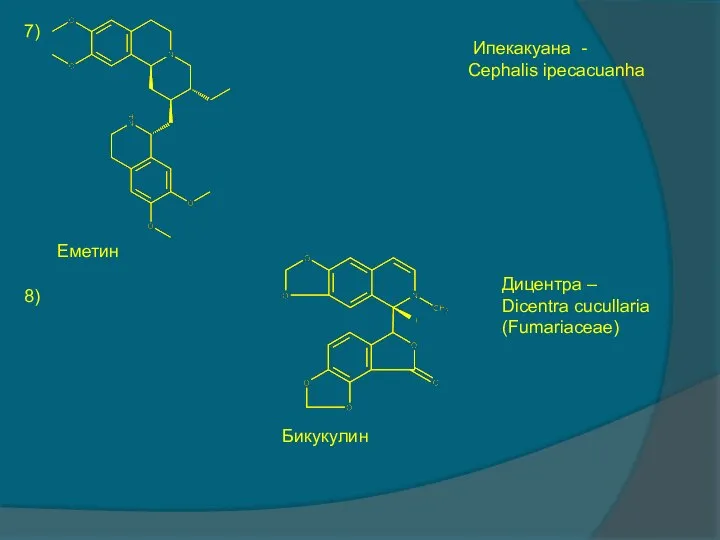 7) Еметин Ипекакуана - Cephalis ipecacuanha 8) Бикукулин Дицентра – Dicentra cucullaria (Fumariaceae)