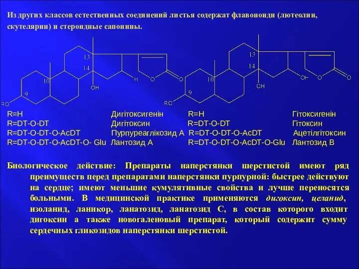 Из других классов естественных соединений листья содержат флавоноиди (лютеолин, скутелярин) и