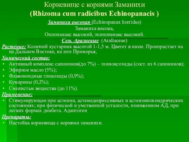 Корневище с корнями Заманихи (Rhizoma cum radicibus Echinopanacis ) Заманиха высокая