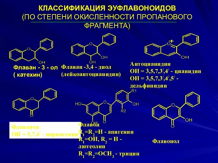 КЛАССИФИКАЦИЯ ЭУФЛАВОНОИДОВ (ПО СТЕПЕНИ ОКИСЛЕННОСТИ ПРОПАНОВОГО ФРАГМЕНТА) Флаван -3,4 - диол