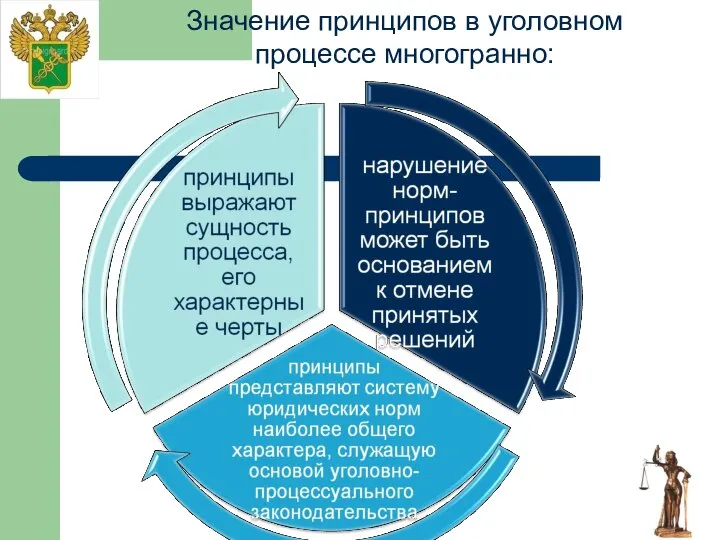 Значение принципов в уголовном процессе многогранно: