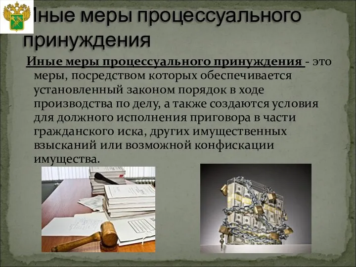 Иные меры процессуального принуждения - это меры, посредством которых обеспечивается установленный