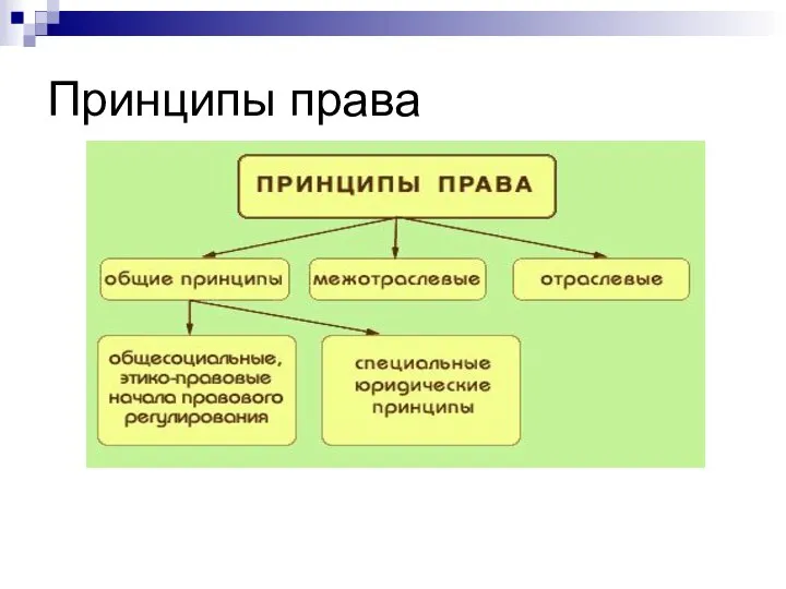 Принципы права