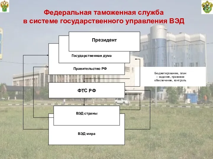 25 Правительство РФ Федеральная таможенная служба в системе государственного управления ВЭД