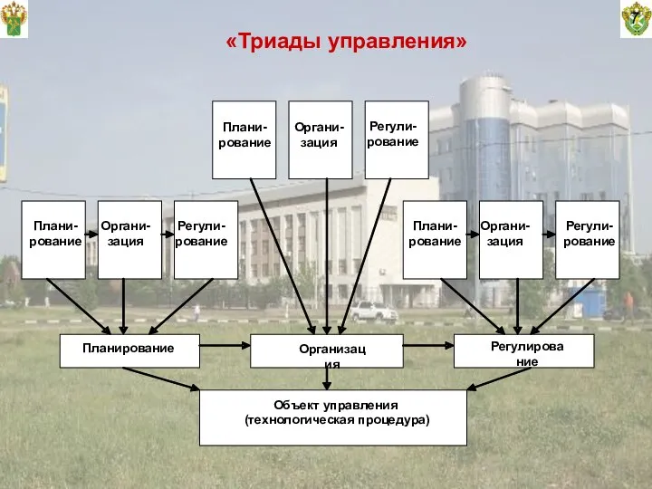 7 «Триады управления»