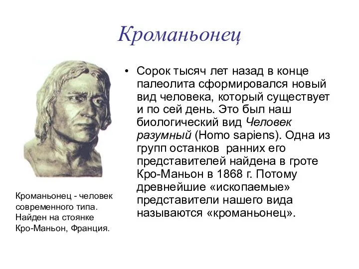 Кроманьонец Сорок тысяч лет назад в конце палеолита сформировался новый вид
