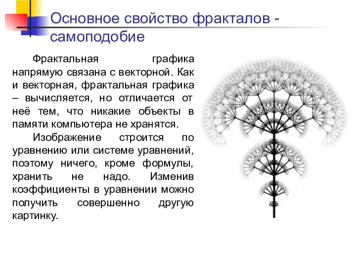 Основное свойство фракталов - самоподобие Фрактальная графика напрямую связана с векторной.