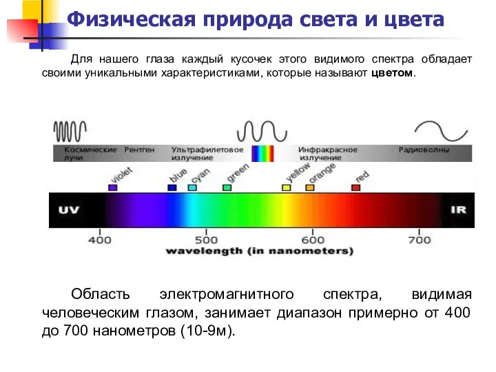 Физическая природа света и цвета Для нашего глаза каждый кусочек этого