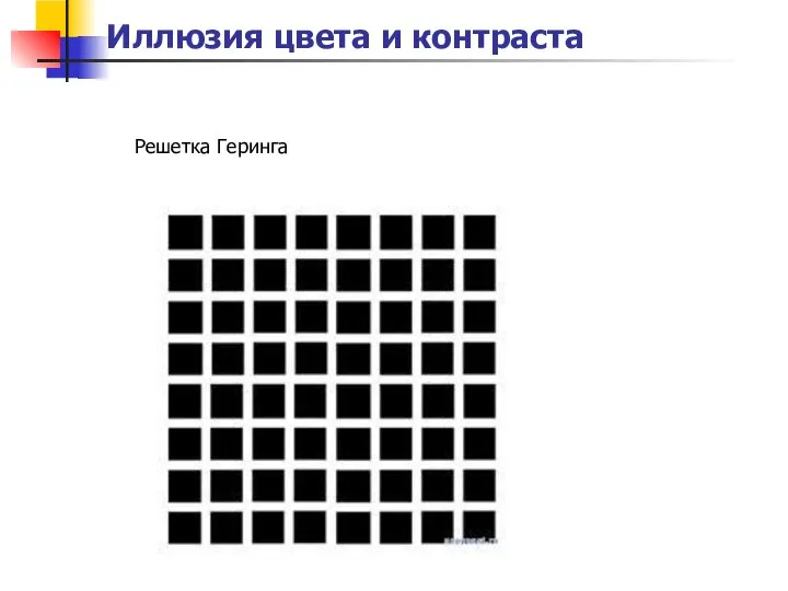 Иллюзия цвета и контраста Решетка Геринга