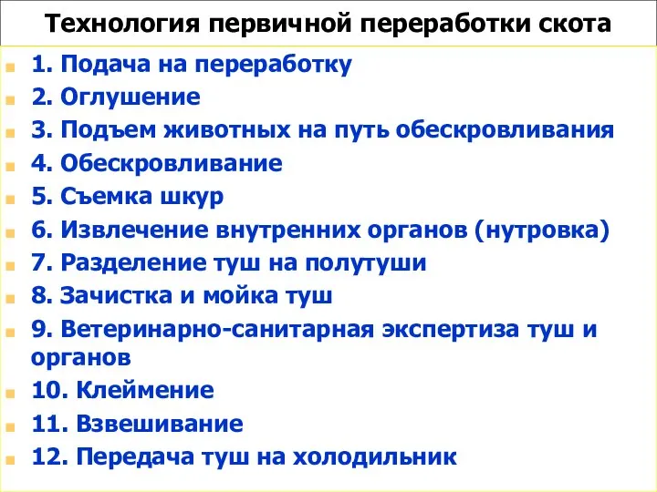 Технология первичной переработки скота 1. Подача на переработку 2. Оглушение 3.