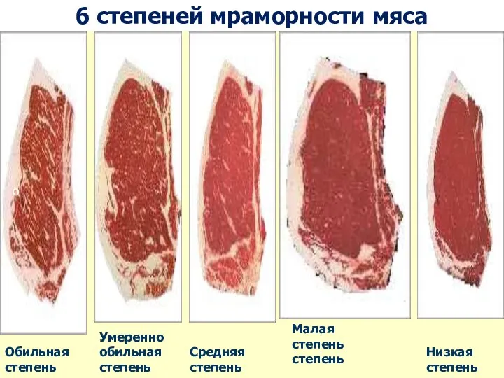 6 степеней мраморности мяса о Обильная степень Умеренно обильная степень Средняя