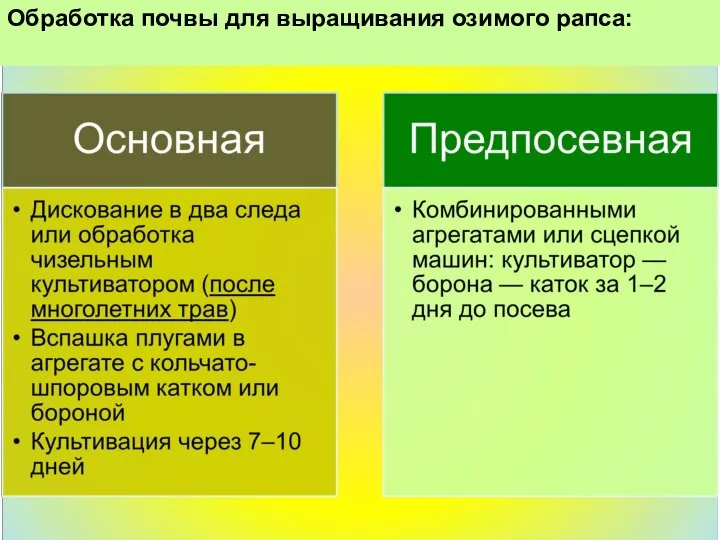 Обработка почвы для выращивания озимого рапса: