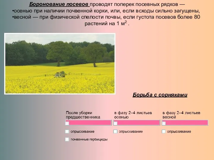 Боронование посевов проводят поперек посевных рядков — осенью при наличии почвенной