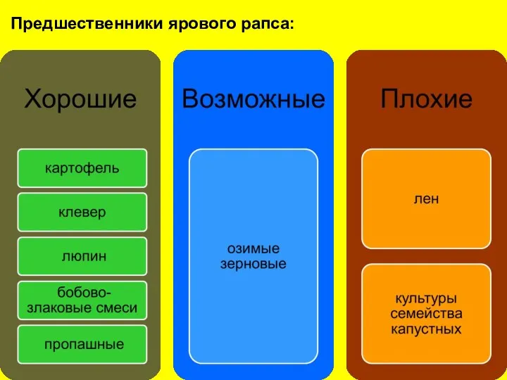 Предшественники ярового рапса: