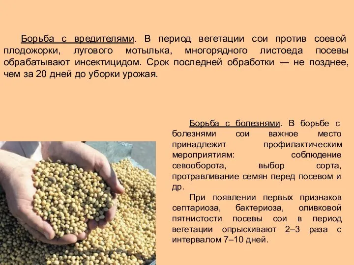 Борьба с вредителями. В период вегетации сои против соевой плодожорки, лугового