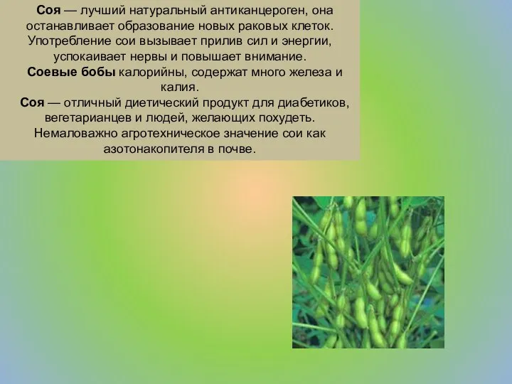 Соя — лучший натуральный антиканцероген, она останавливает образование новых раковых клеток.