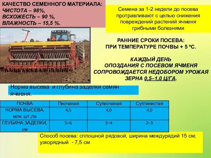 КАЧЕСТВО СЕМЕННОГО МАТЕРИАЛА: ЧИСТОТА – 98%, ВСХОЖЕСТЬ – 90 %, ВЛАЖНОСТЬ