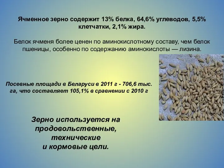 Зерно используется на продовольственные, технические и кормовые цели. Ячменное зерно содержит