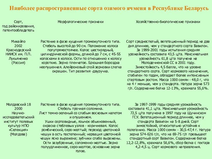 Наиболее распространенные сорта озимого ячменя в Республике Беларусь