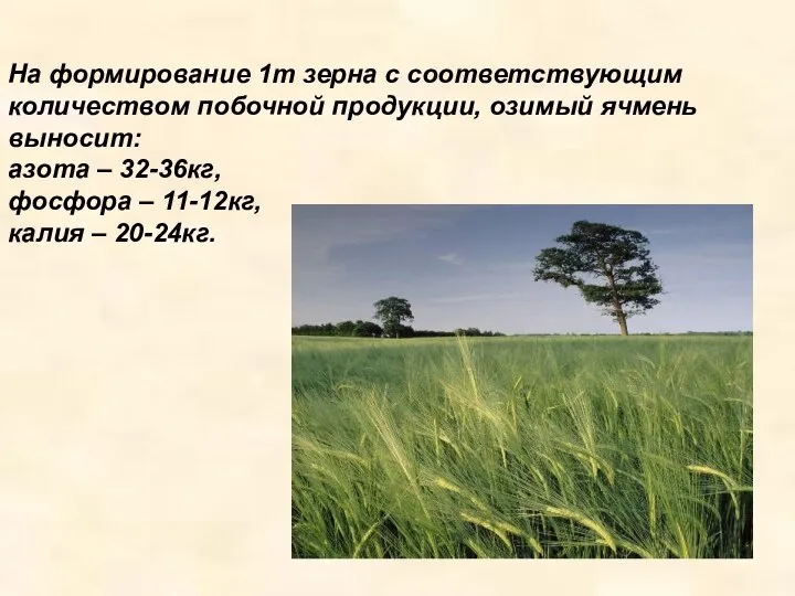 На формирование 1т зерна с соответствующим количеством побочной продукции, озимый ячмень