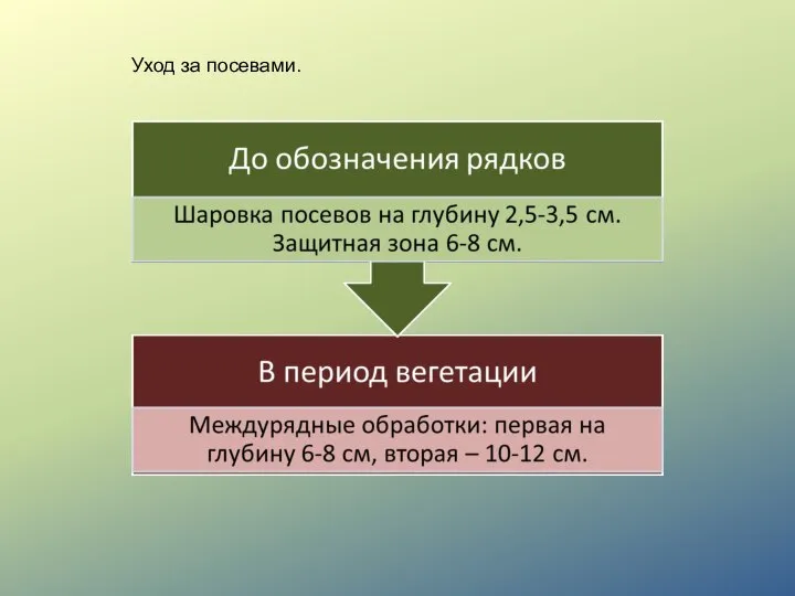 Уход за посевами.